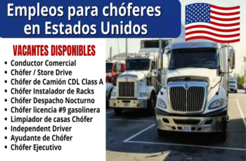 Oportunidades al Volante: Conquista tu Siguiente Carrera en Estados Unidos