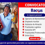 CONVOCATORIA-BACKUS-1024x536