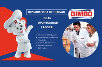 Bimbo Perú abre nuevas opciones de trabajo | Postúlate aquí